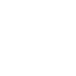 Decarbonization Icon