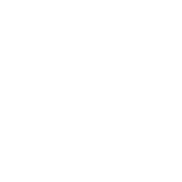 Decentralization Icon